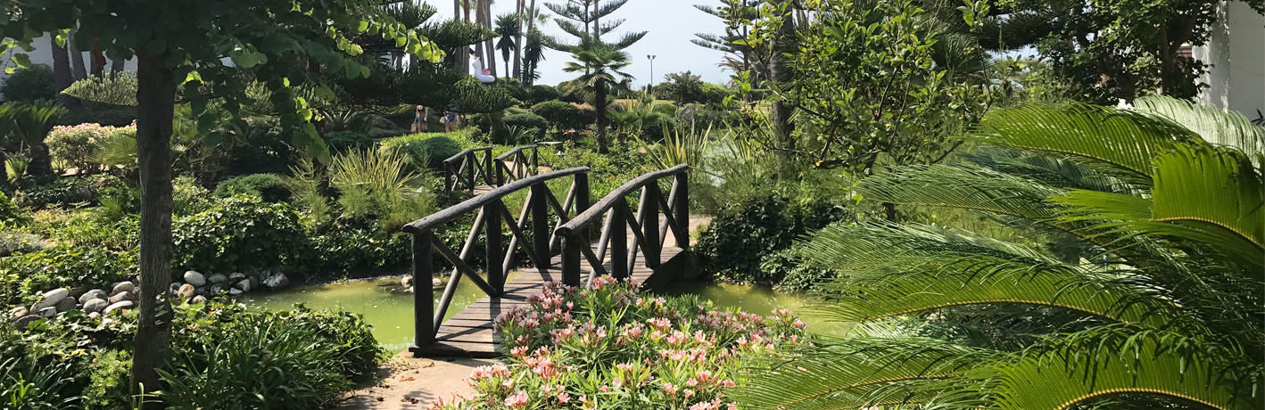Jardín Japonés
