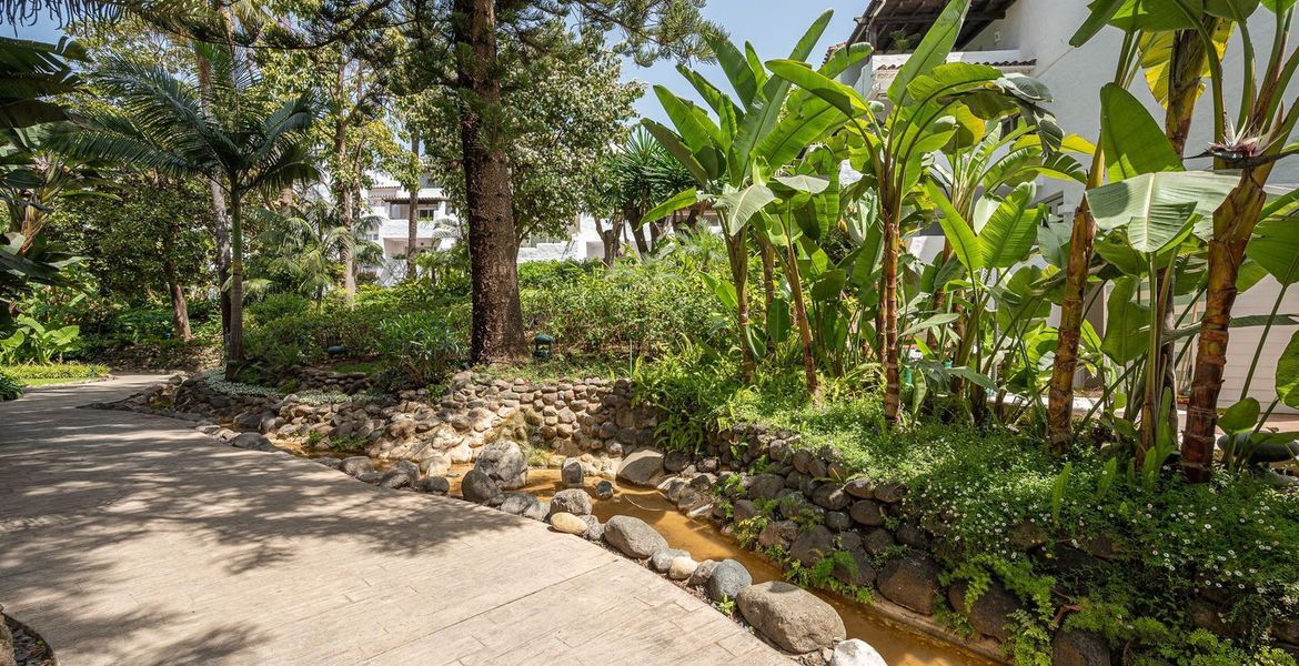 Se alquila Apartamento Suite en Hotel Puente Romano
