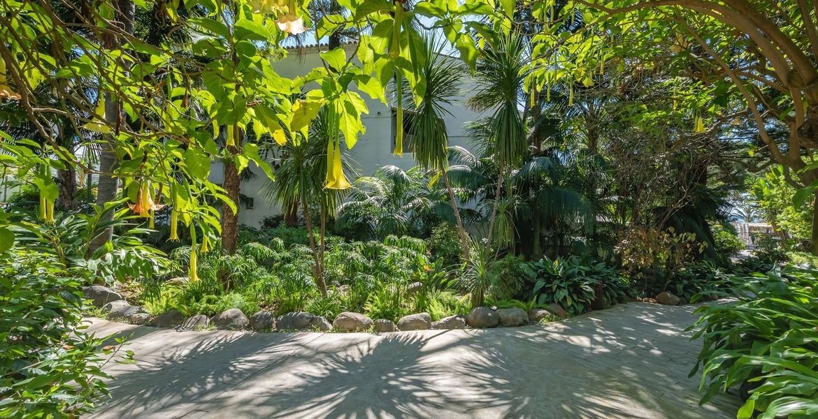 Se alquila Apartamento Suite en Hotel Puente Romano