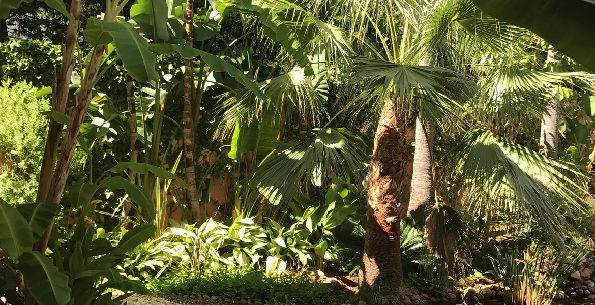 VILLA DE LUJO LADO MAR ENTRE PUENTE ROMANO Y MARBELLA CLUB
