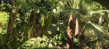 VILLA DE LUJO EN MARBELLA  