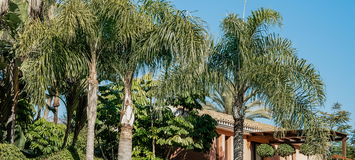 VILLA DE LUJO EN MARBELLA  