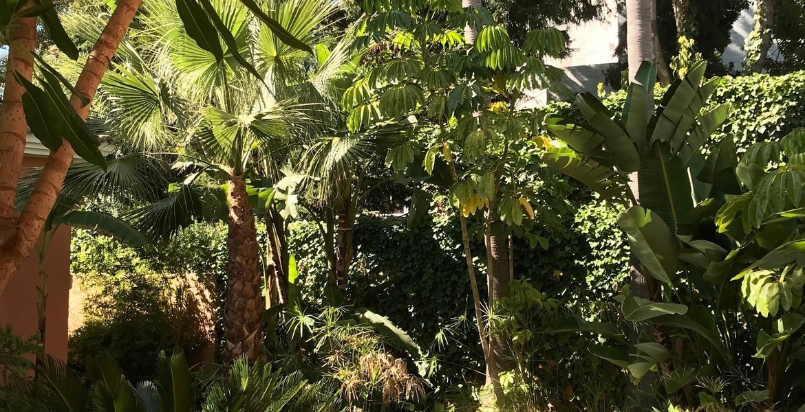 VILLA DE LUJO EN MARBELLA  