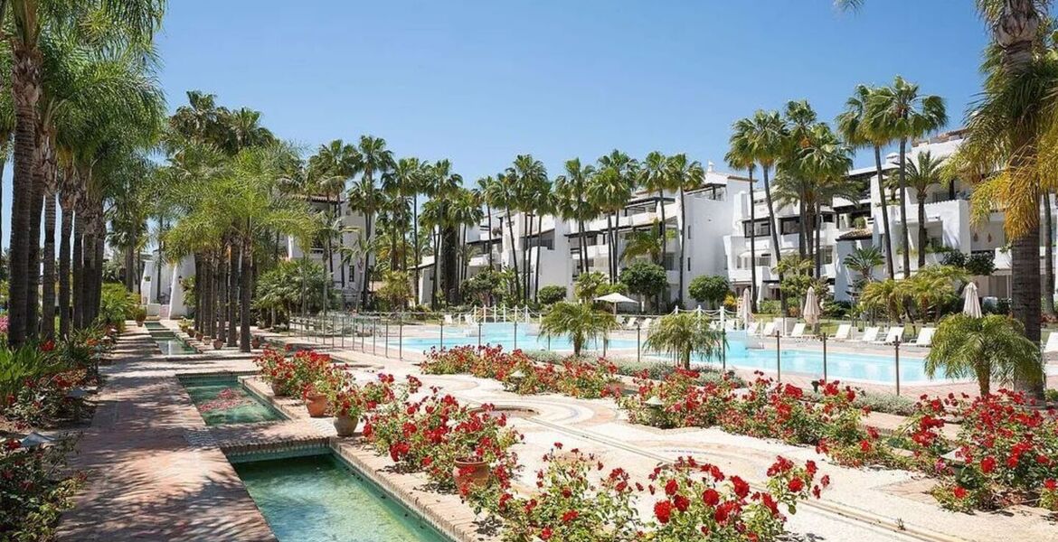 Apartamento en primera línea de playa en Puente Romano
