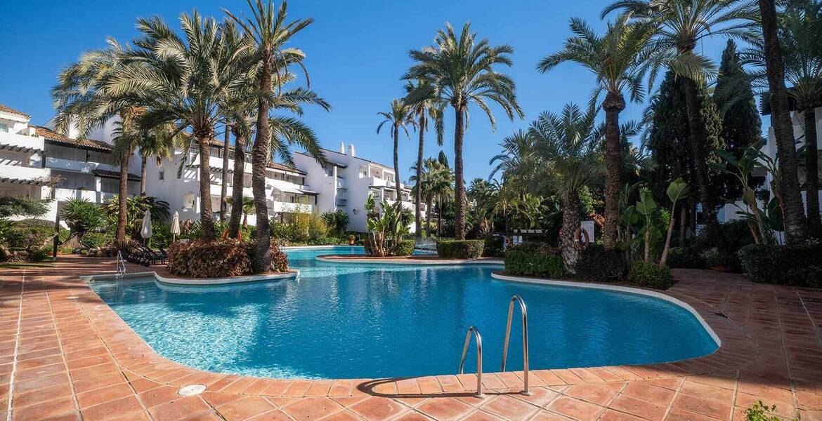 Apartamento en alquiler lado Nobu Hotel Puente Romano